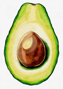 Watercolor Avocado