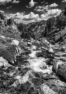 River landscape nature