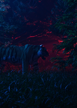 Tiger In jungle