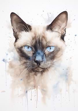 siamese cat watercolor
