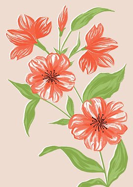 Orange Summer Blooms