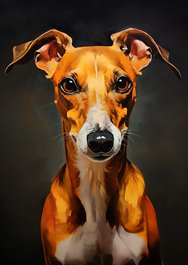 Whippet