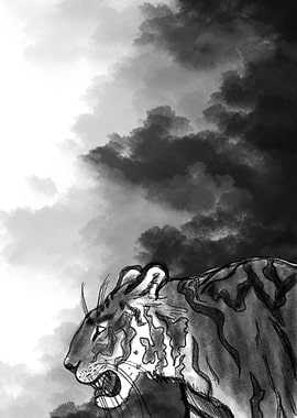 Tiger black background