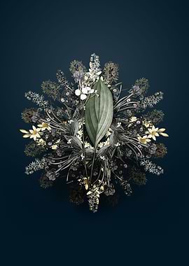 Bulltongue Arrowhead