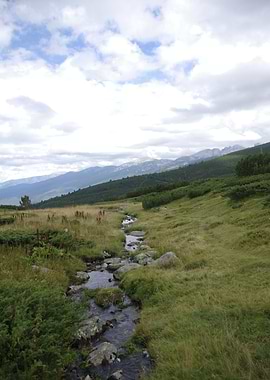 Water Path Bulgaria