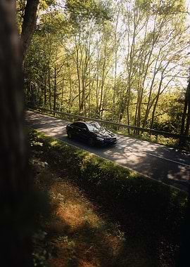 Mercedes Forest Road