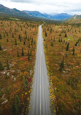 An aerial view of a road