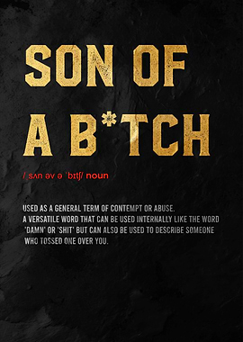 son of bitch definition