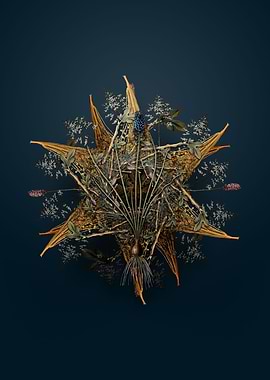 Grape Hyacinth Wreath