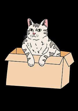 Funny cat in cardboard