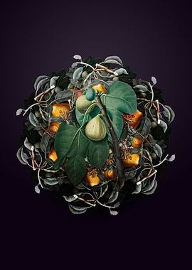 Vintage Fig Branch Wreath