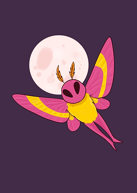 Rosy Maple Mothman