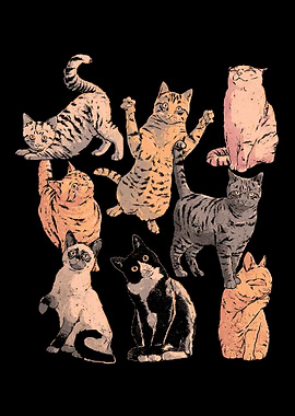 MILF Man I Love Felines