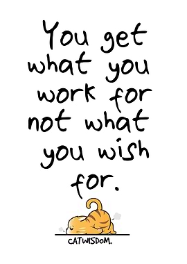 Cat Wisdom Motivation