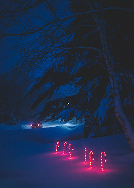 lighted candy cane and sur