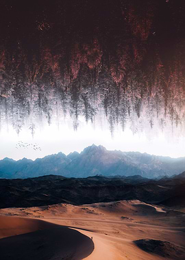 Upside down forest desert