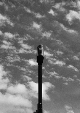 1984 and flying dogs