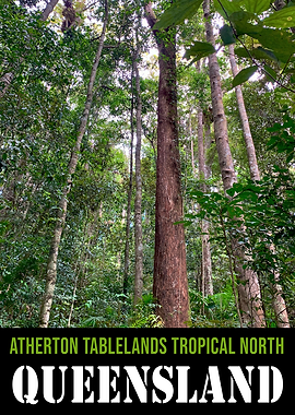 Tropical North Queensland