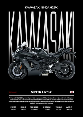 Kawasaki Ninja H2 SX