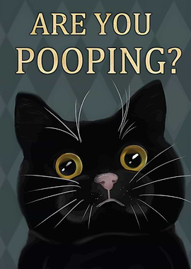 Black Cat are you pooping