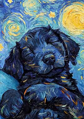 Flat Coated Puppy Sleeping