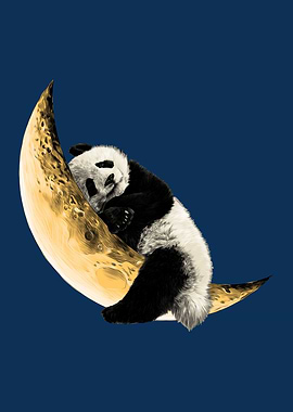 Panda Sleep on the Moon