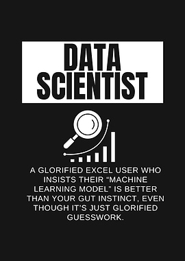 DATA SCIENTIST DEFINITION