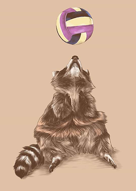 Raccoon Play Ball