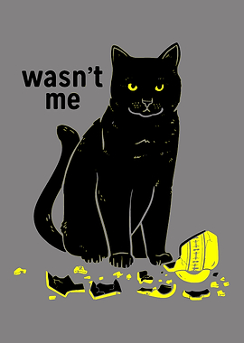 Black Cat & Broken Pot