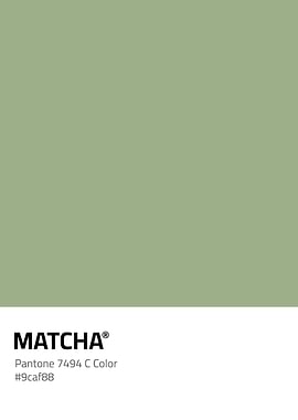 PANTONE MATCHA