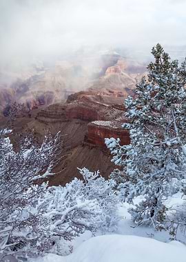 Grand Canyon Winter