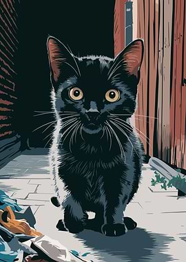 Black Alley Cat Lost