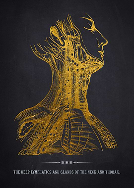 Gold Lymphatic System