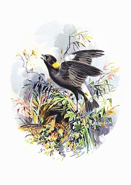 Birds Nesting Watercolor