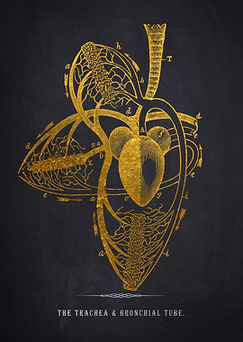 Gold Anatomical Heart Prin
