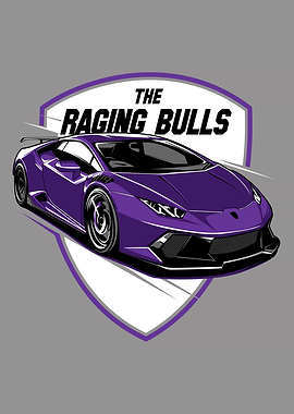 The Raging Bulls