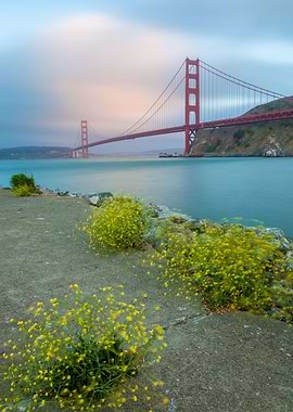 Golden Gate Summer
