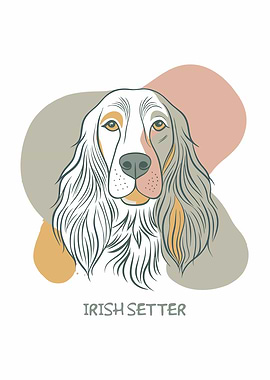 Irish Setter Dog Illustration