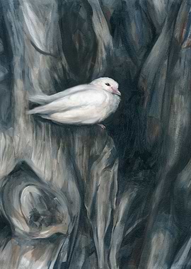 Dove