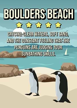 Funnny Boulders Beach Penguins Review