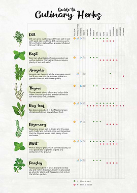 Culinary Herbs Grow Guide