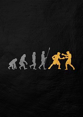 boxign evolution