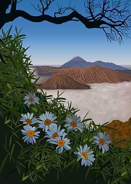 Bromo mountain volcano