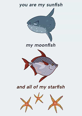 My Sunfish My Moonfish and All of My Starfish