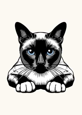 Siamese Cat