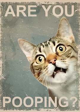 Cat Toilet are you pooping