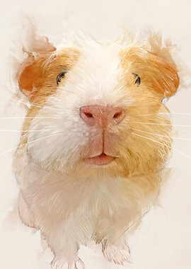 Cute Guinea Pig Portrait