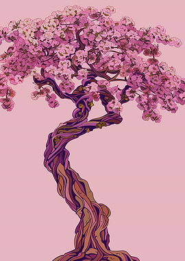 Japanese Pink Cherry Blossom