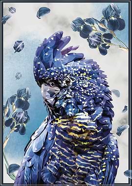 Red-tailed black cockatoo with Irises