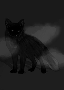 Black Fox in the Dark